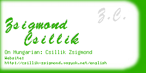 zsigmond csillik business card